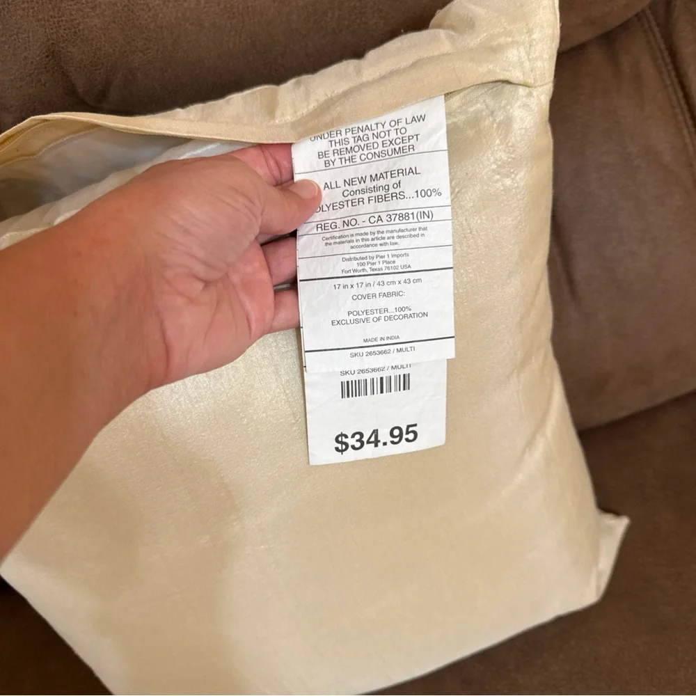 Pier 1 Imports Embroidered Throw Accent Decorative Single Pillow‎ 17x17 Ivory